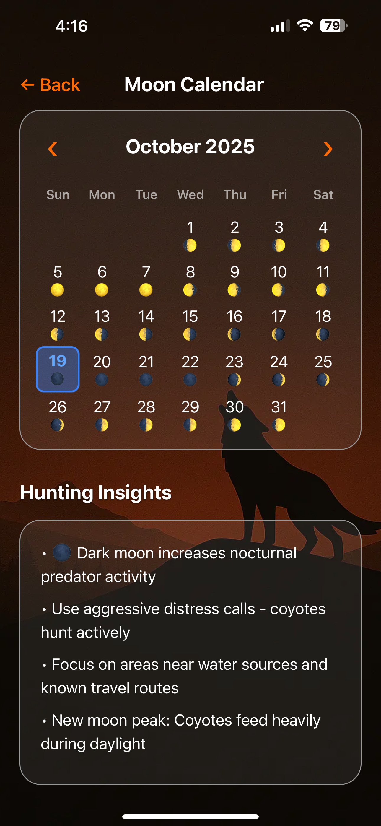 Lunar Activity Analysis - Moon Phase Hunting Correlations